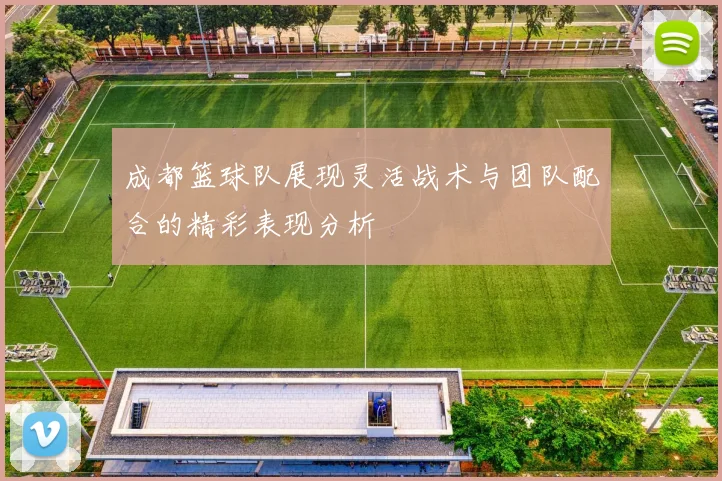 成都篮球队展现灵活战术与团队配合的精彩表现分析